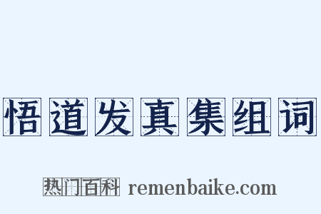 悟道发真集组词是什么意思的图片